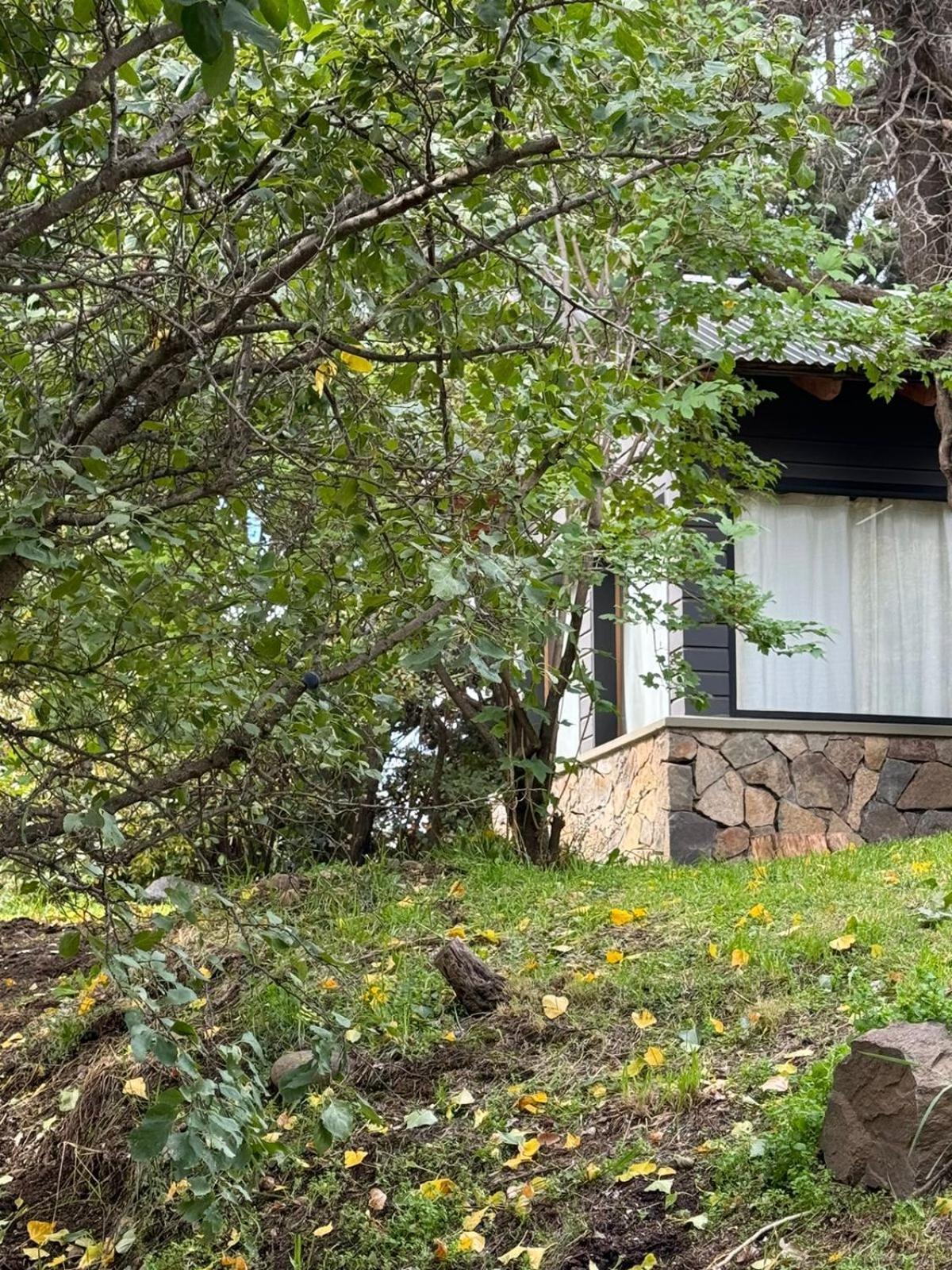 Huilen De Bandurrias Villa San Martin de los Andes Bagian luar foto